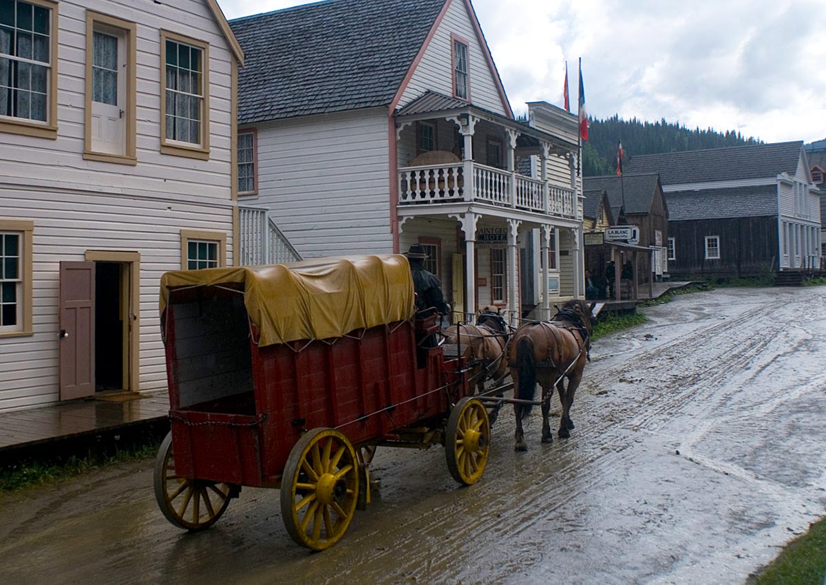 Wild West horse and carriage