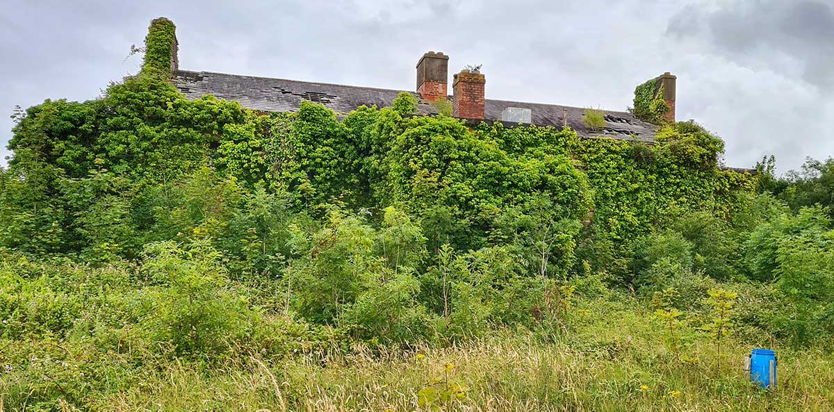 A house in the abandoned village on Spike Island being reclaimed by nature