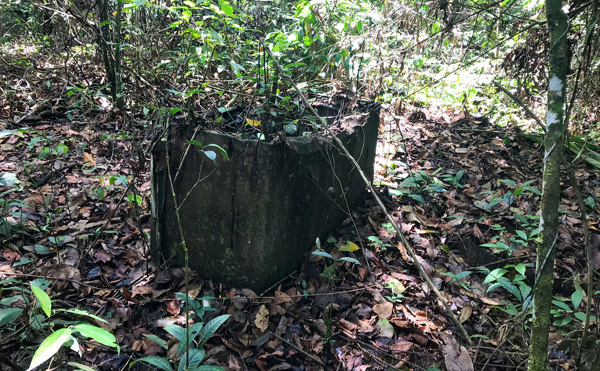 Rusting equipment in Jonestown being reclaimed by nature